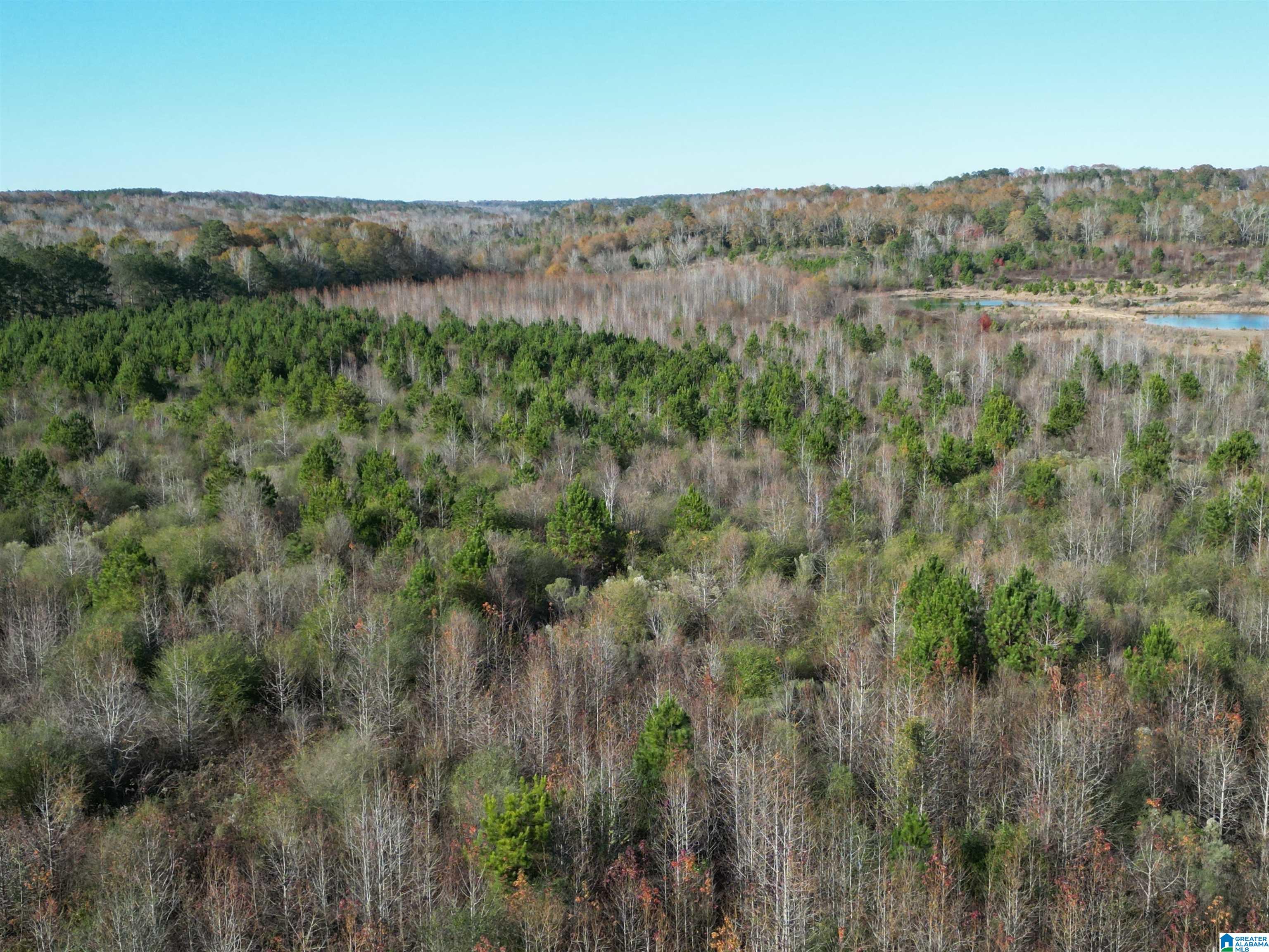 0 County Road 155, Unit 1 Montevallo, AL 35115 - Photo 1 of 2