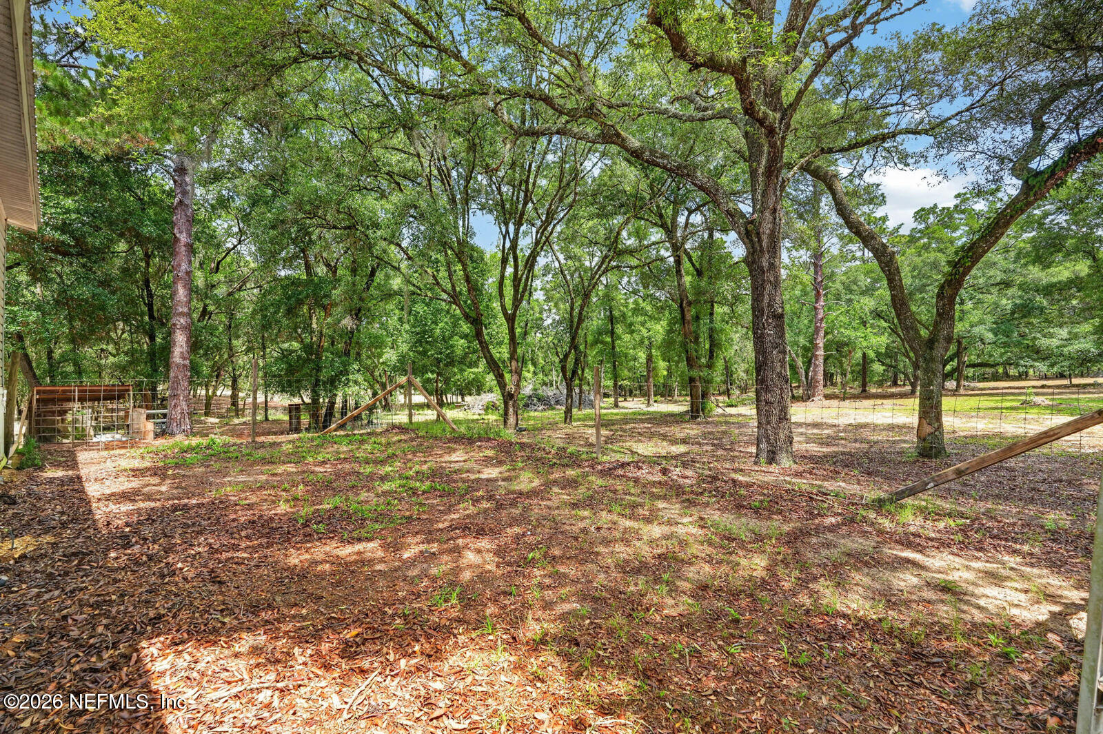 134 Windy Hills Road Hawthorne, FL 32640 - Photo 53 of 66 58_dsc09725