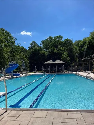 a view of a swimming pool with lawn chairs and potted plants