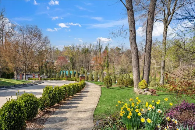 a view of a park with large trees