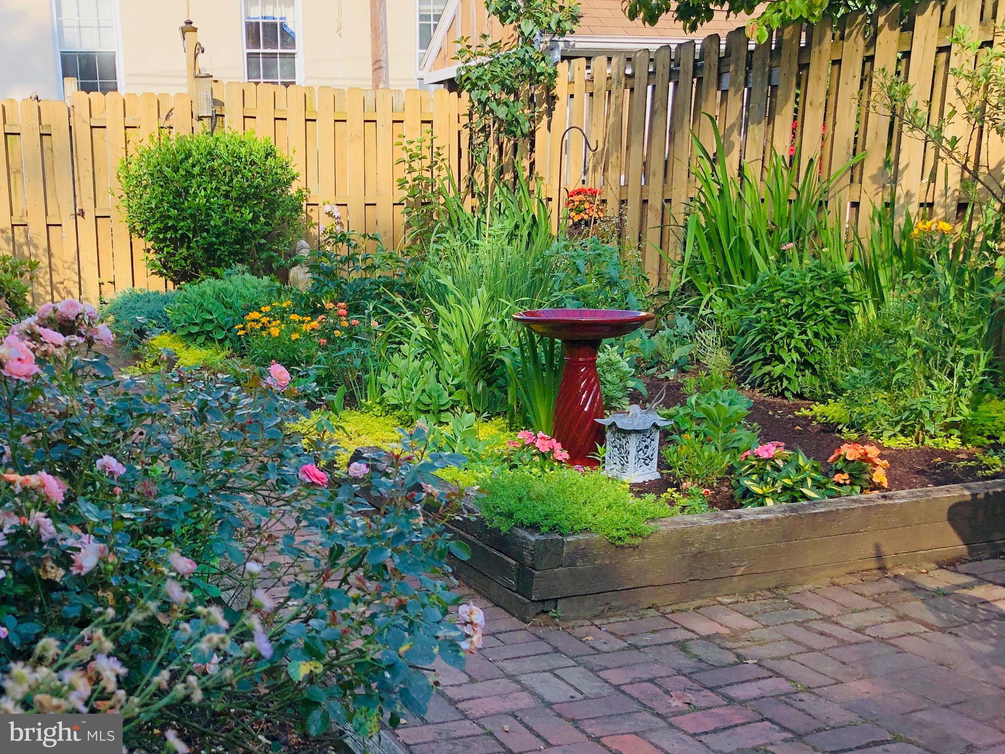 220 South Walnut Street West Chester, PA 19382 - Photo 27 of 37 Summer Yard Picture