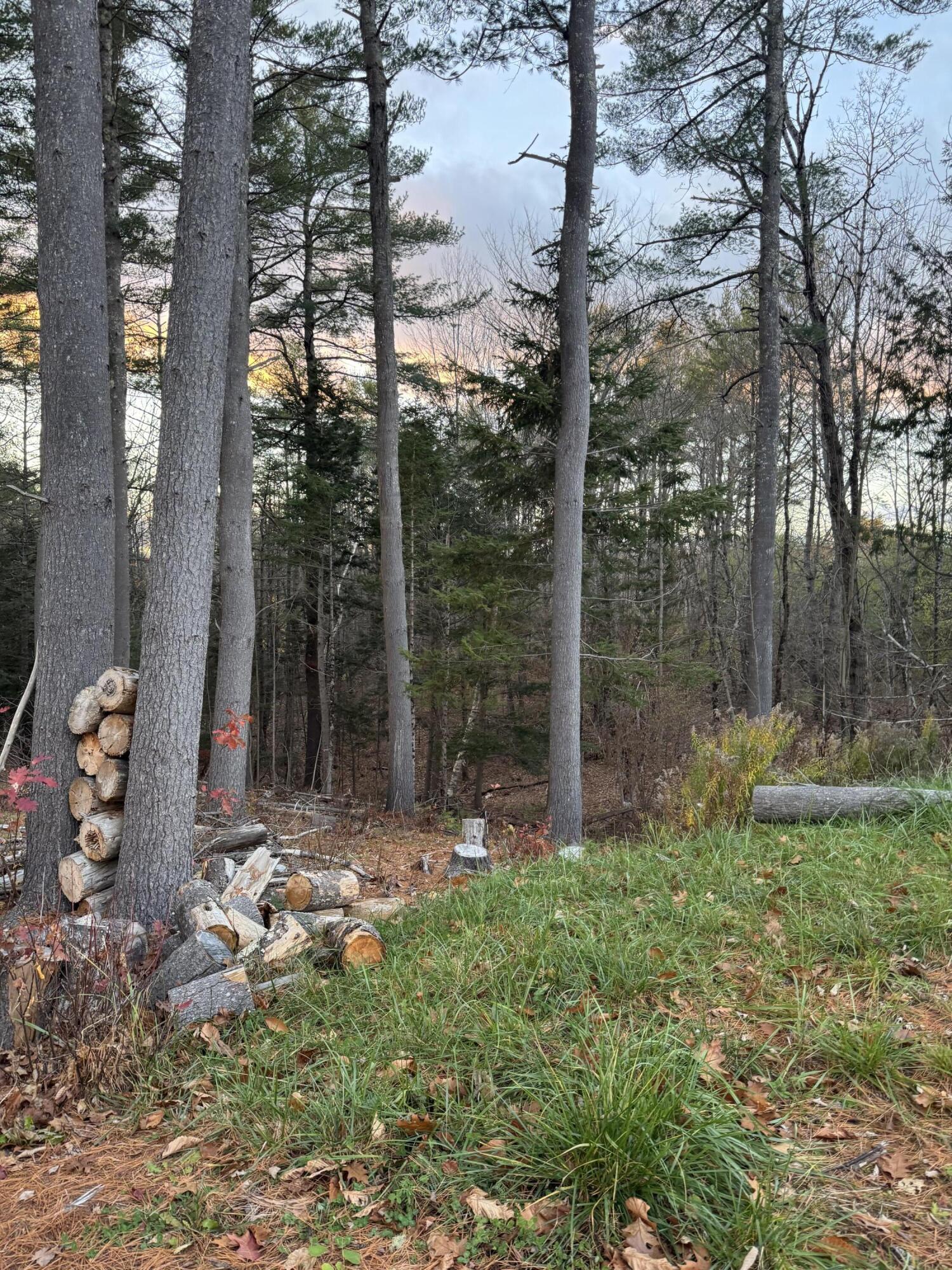 484 China Road Winslow, ME 04901 - Photo 8 of 8 land