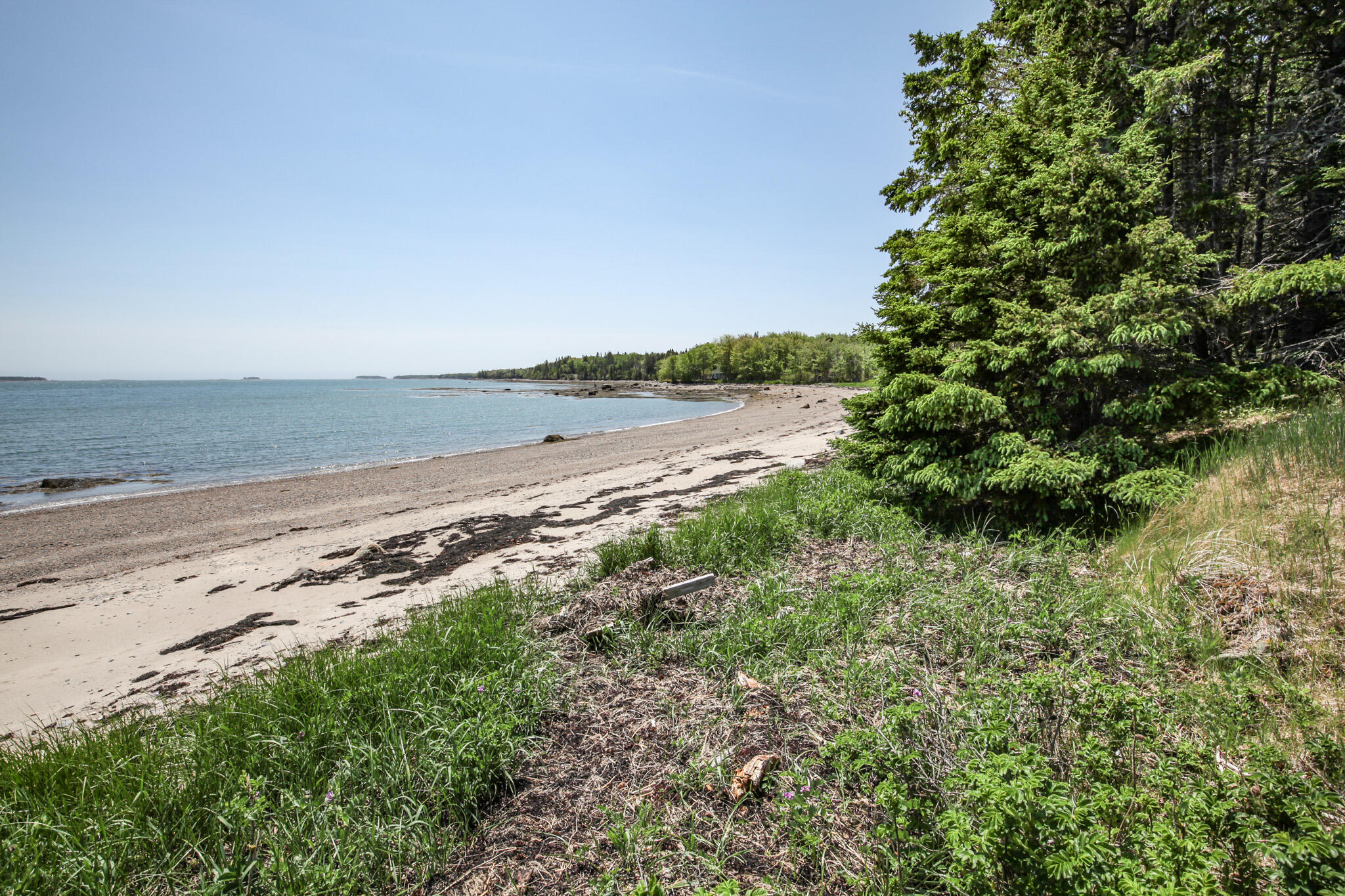19 Peninsula Shore Road Corea, ME 04624 - Photo 19 of 41 IMG_7170
