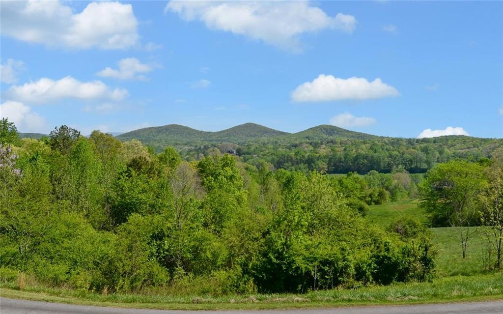 85 Summit Canyon Road, Unit H102 Dahlonega, GA 30533 - Photo 29 of 31