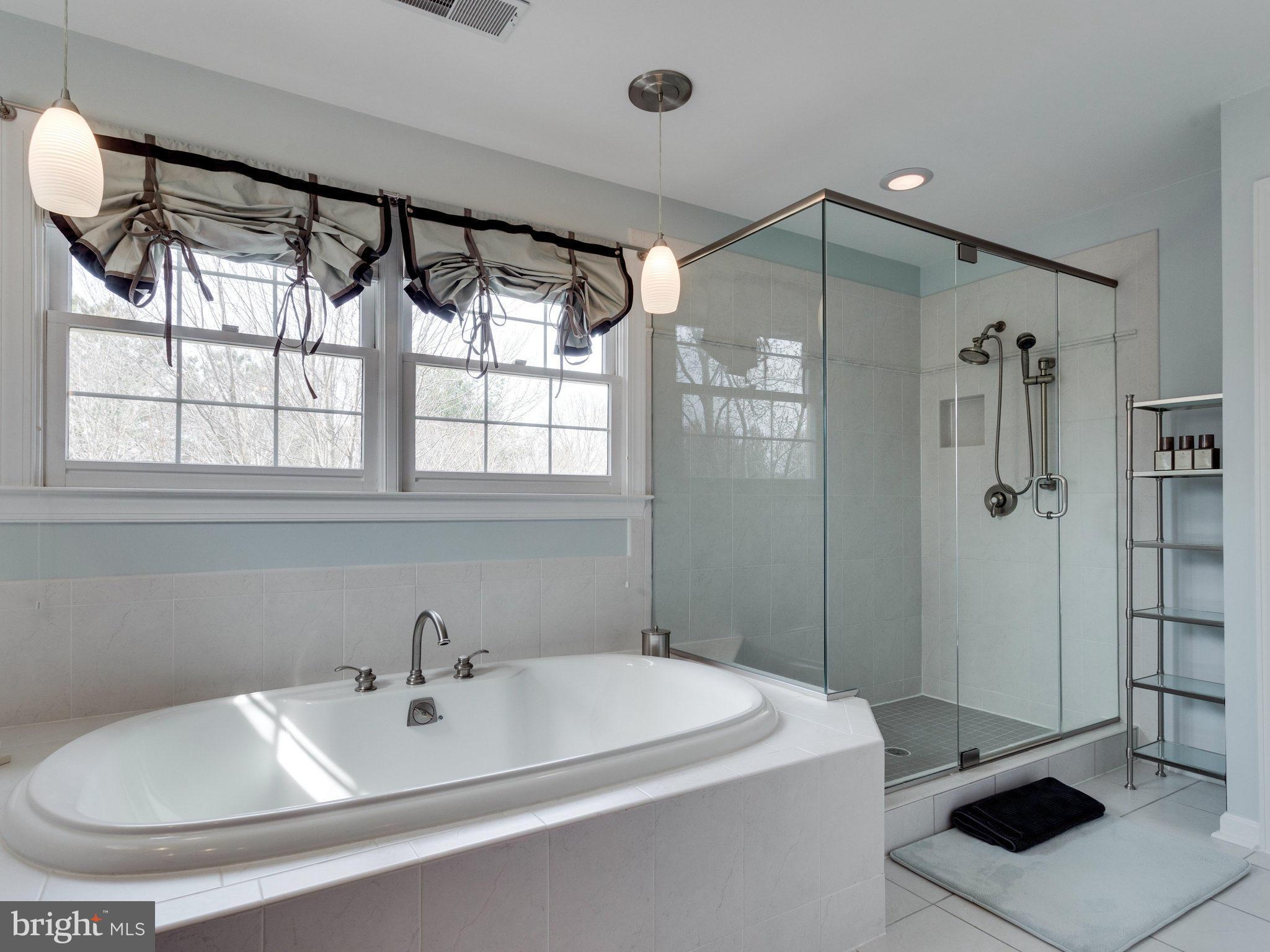 1010 Springvale Road Great Falls, VA 22066 - Photo 17 of 30 Soaking Tub & Separate Walk-in Shower