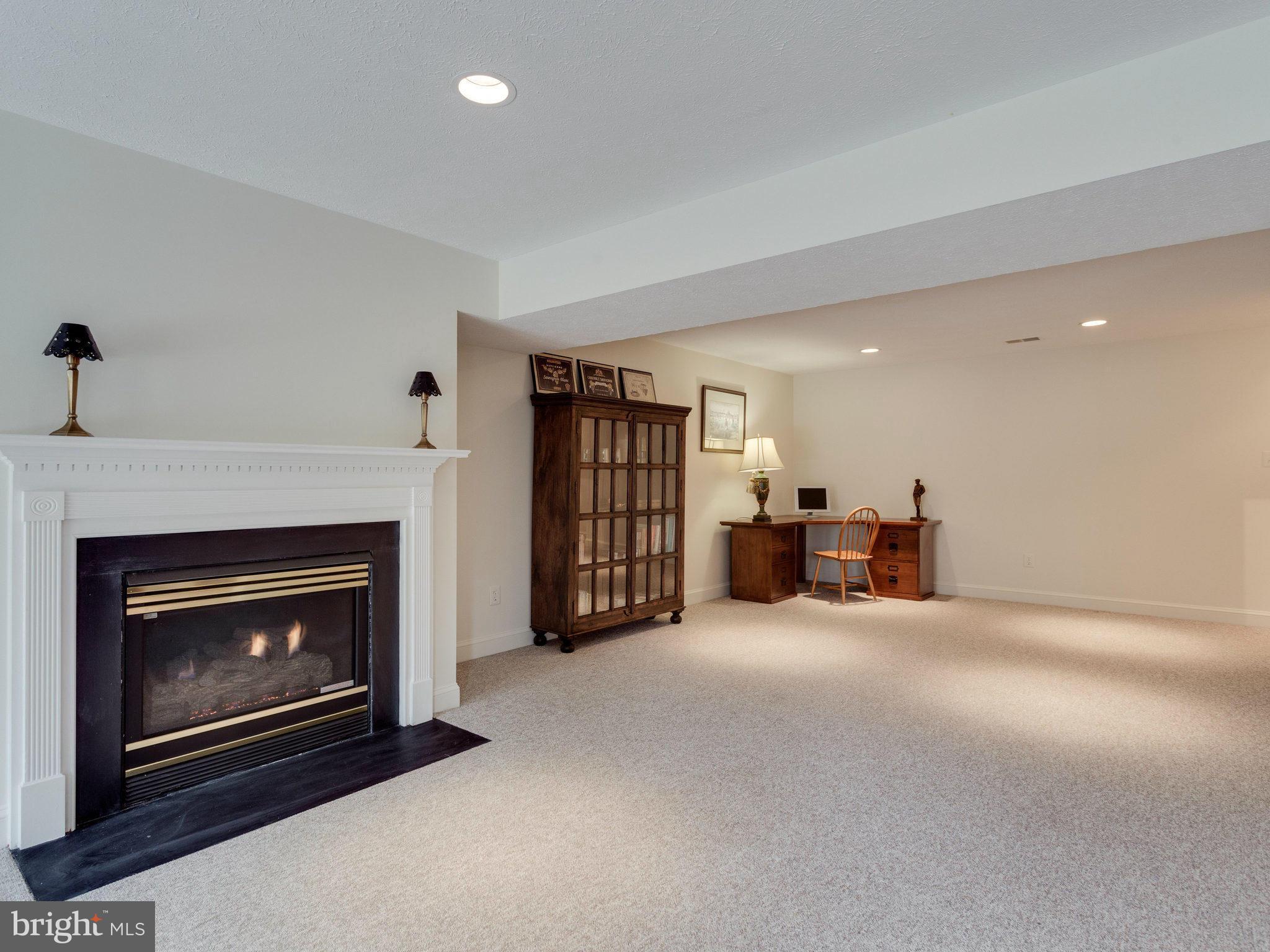 1010 Springvale Road Great Falls, VA 22066 - Photo 21 of 30 Gas FP, Recessed Lighting