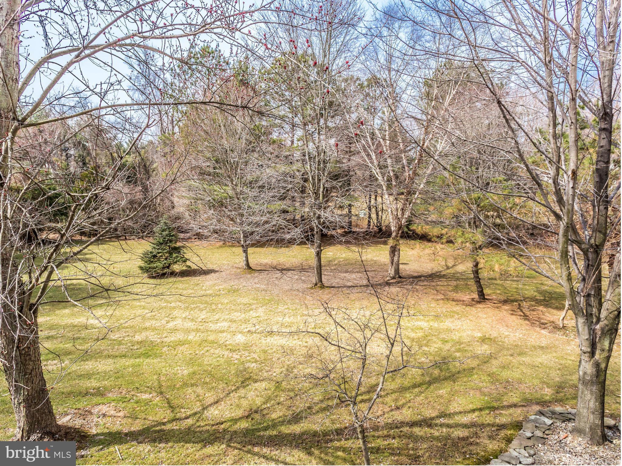 1010 Springvale Road Great Falls, VA 22066 - Photo 29 of 30 Private and Serene w/ No Houses Behind You