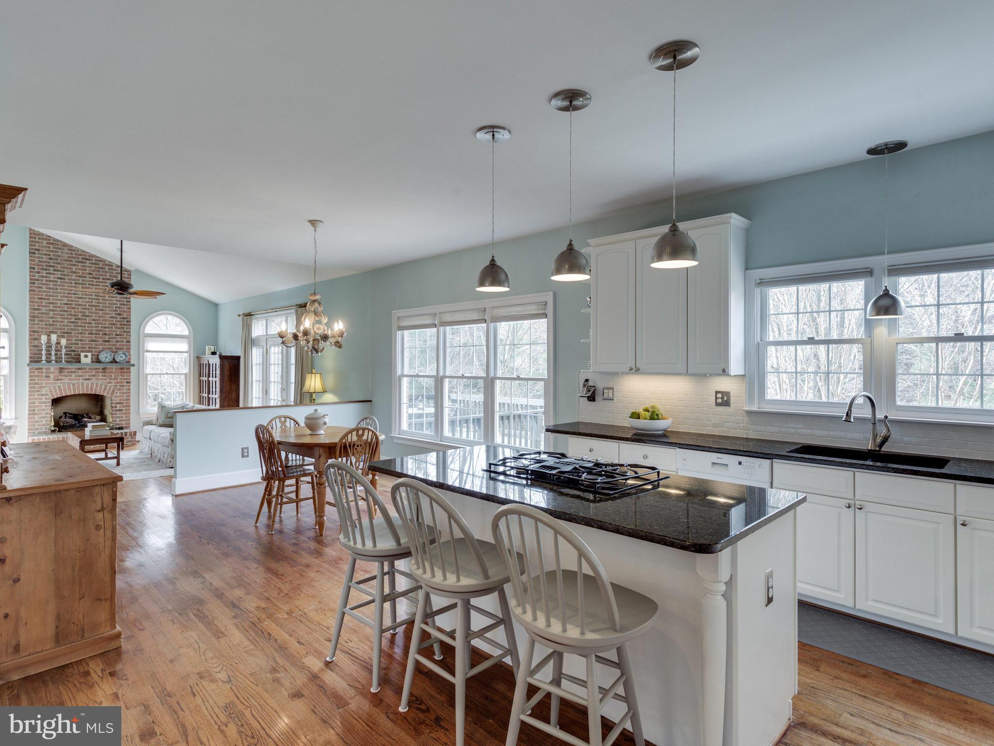 1010 Springvale Road Great Falls, VA 22066 - Photo 9 of 30 Gorgeous Remodeled Kitchen