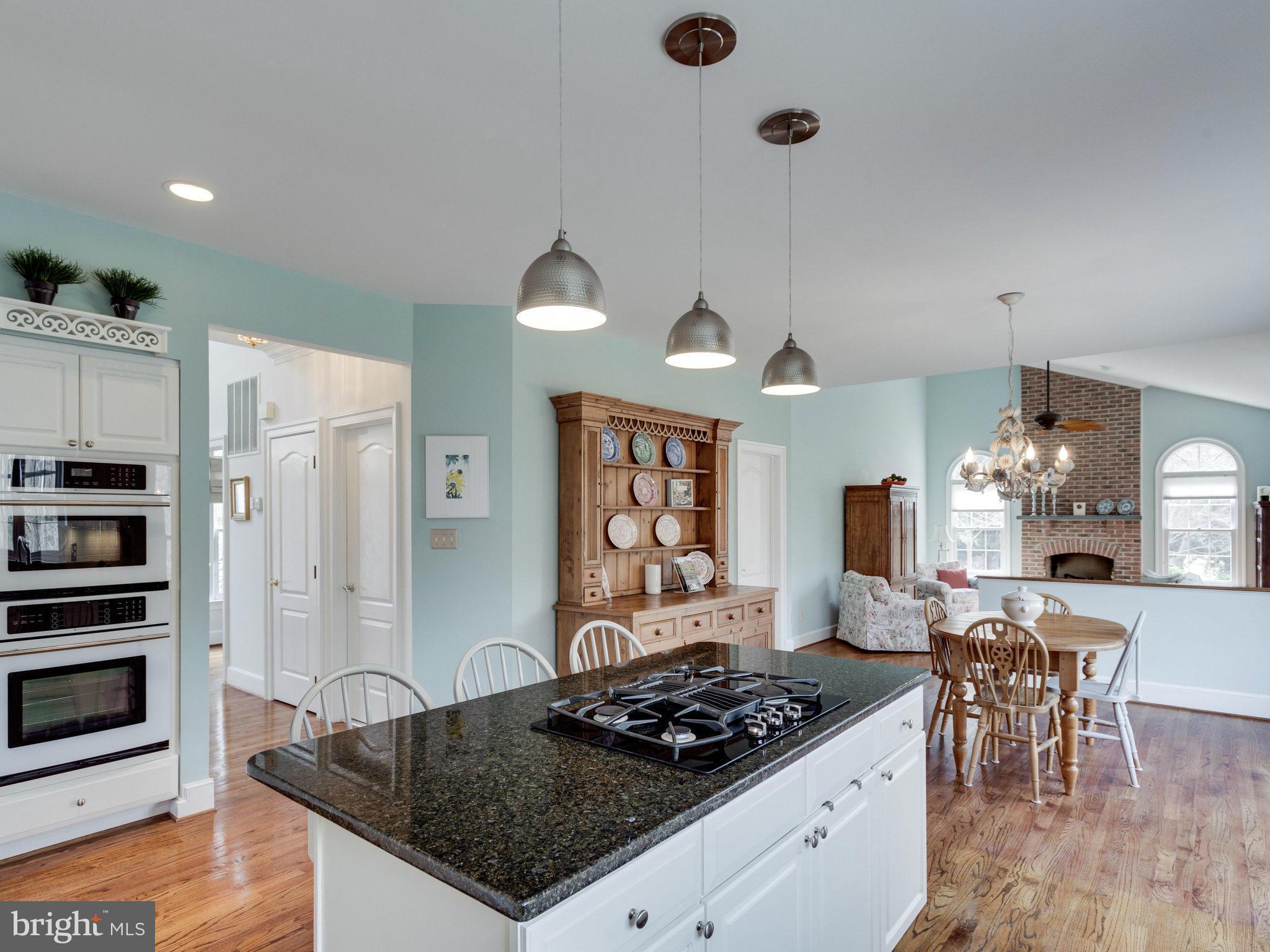 1010 Springvale Road Great Falls, VA 22066 - Photo 10 of 30 Granite Island w/Gas Cooktop