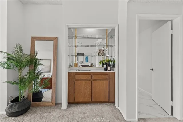 a room with window and a potted plant