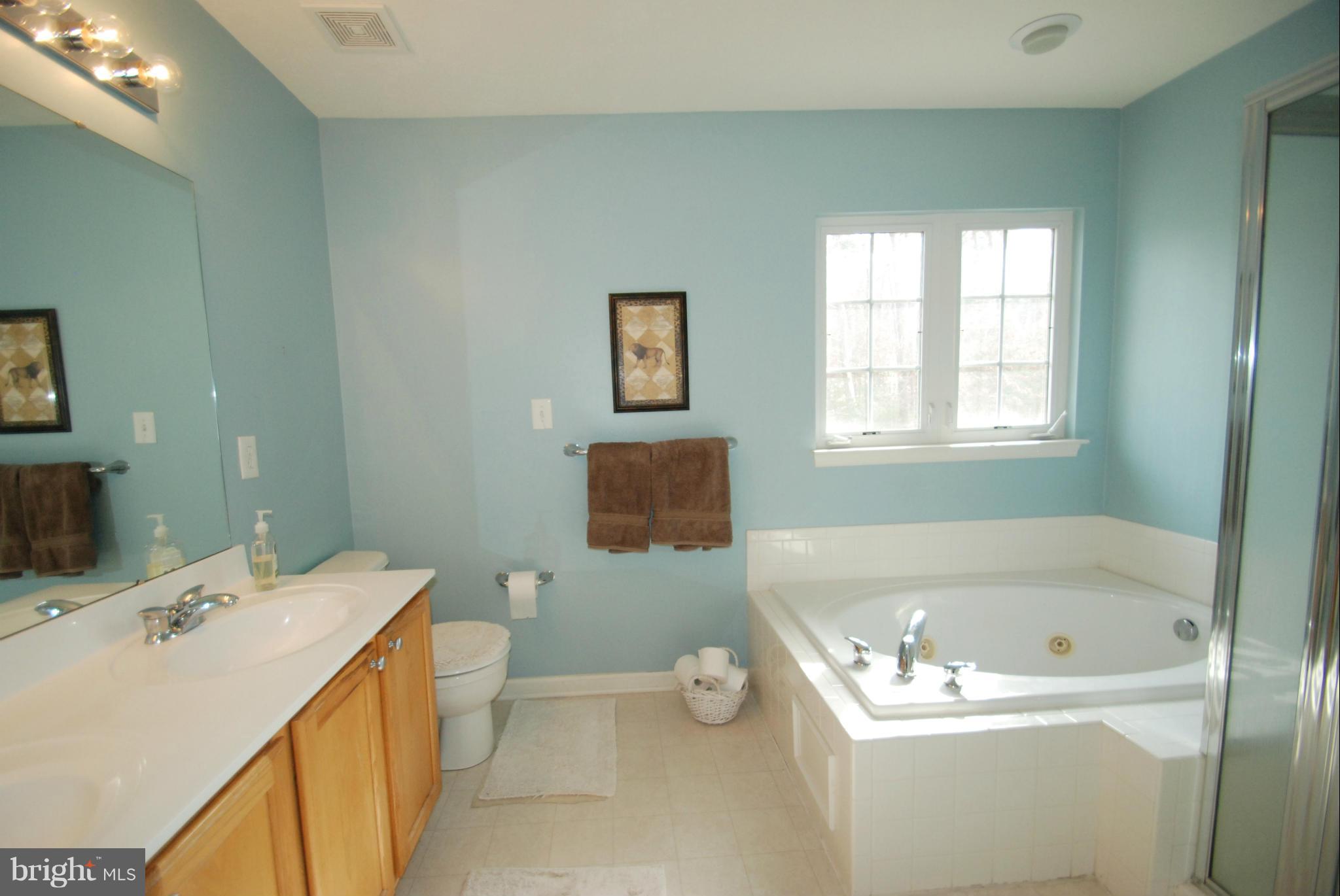 7749 Rotherham Drive Hanover, MD 21076 - Photo 14 of 30 Bath (Master)