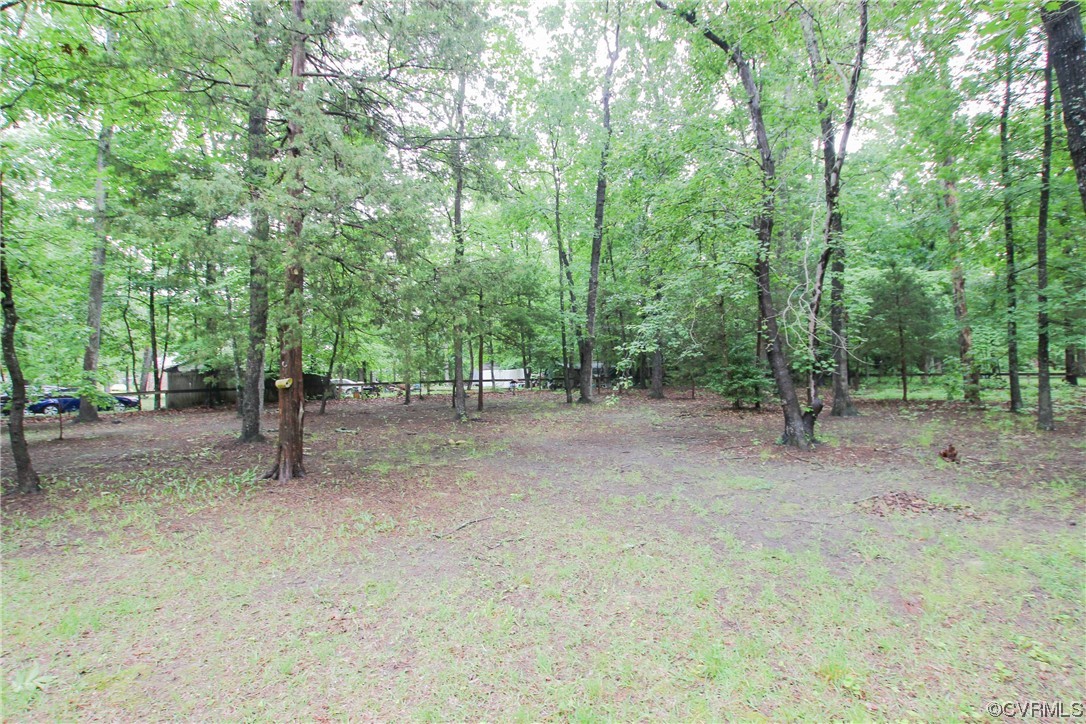 1120 Mill Road King William, VA 23086 - Photo 39 of 40 a view of outdoor space and tree
