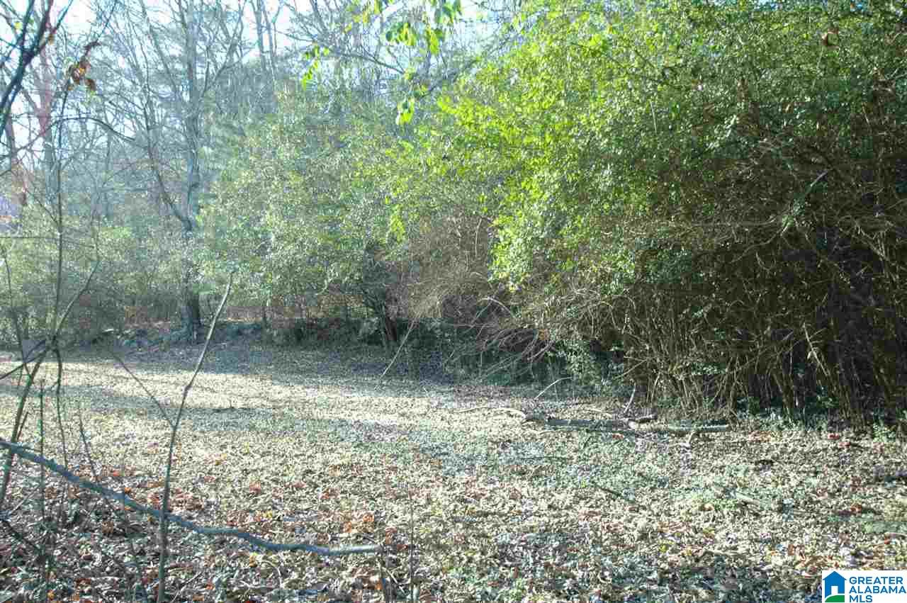State Road Oneonta, AL 35121 - Photo 3 of 3