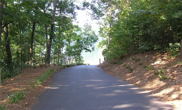 a view of a yard with a tree