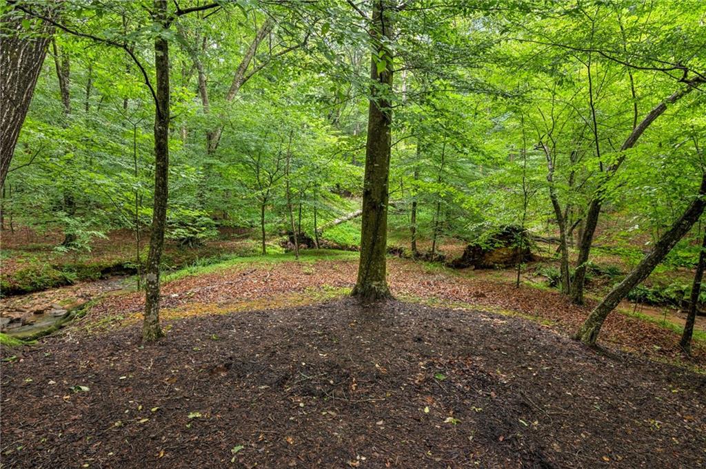 5717 Meadow View Drive Jefferson, GA 30549 - Photo 60 of 93