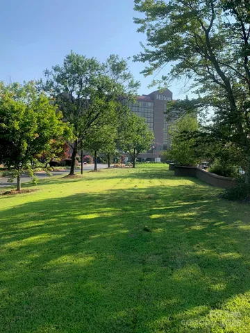 a view of a park with a tree in the background