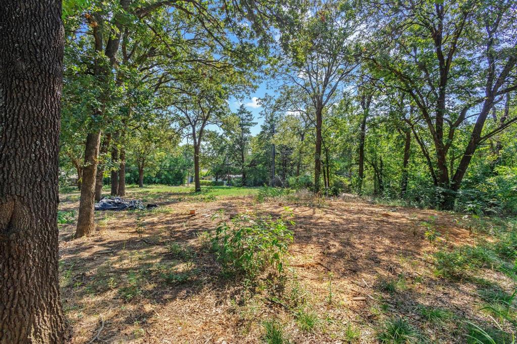 29 Allen A Dale Gordonville, TX 76245 - Photo 19 of 25 a view of backyard with green space