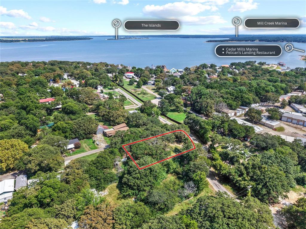 29 Allen A Dale Gordonville, TX 76245 - Photo 2 of 25 a view of a bunch of trees and bushes