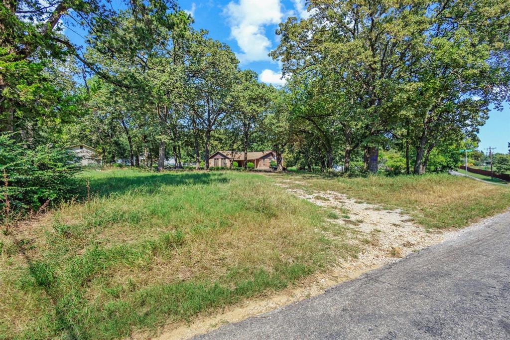 29 Allen A Dale Gordonville, TX 76245 - Photo 22 of 25 a view of a field with a tree