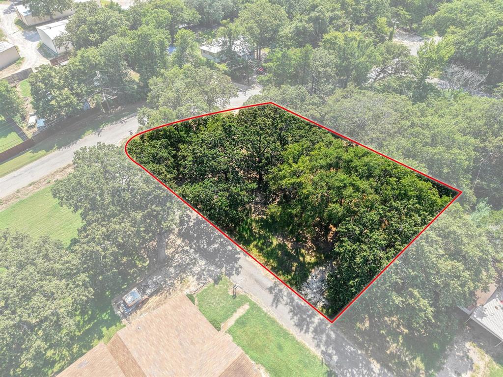 29 Allen A Dale Gordonville, TX 76245 - Photo 10 of 25 a view of a garden with a flower in a garden