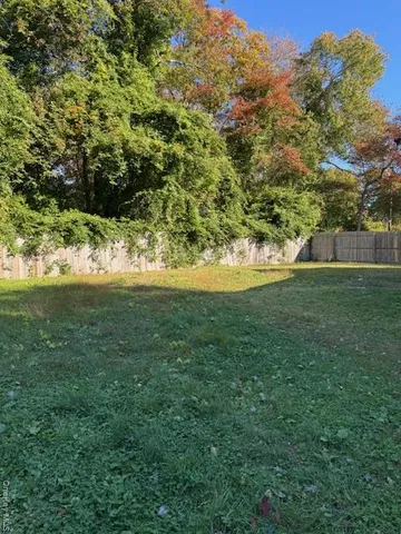 a view of yard with green space