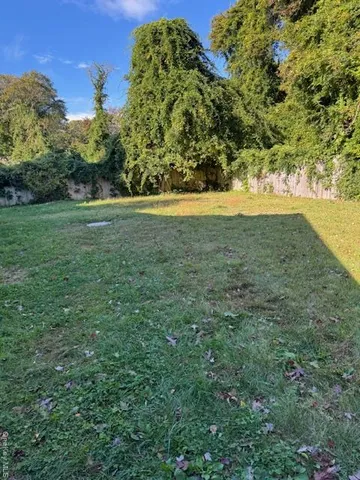 a view of a field with an trees
