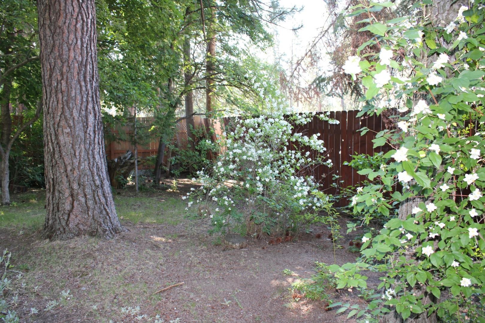 12518 East Houk Road Spokane, WA 99216 - Photo 32 of 50