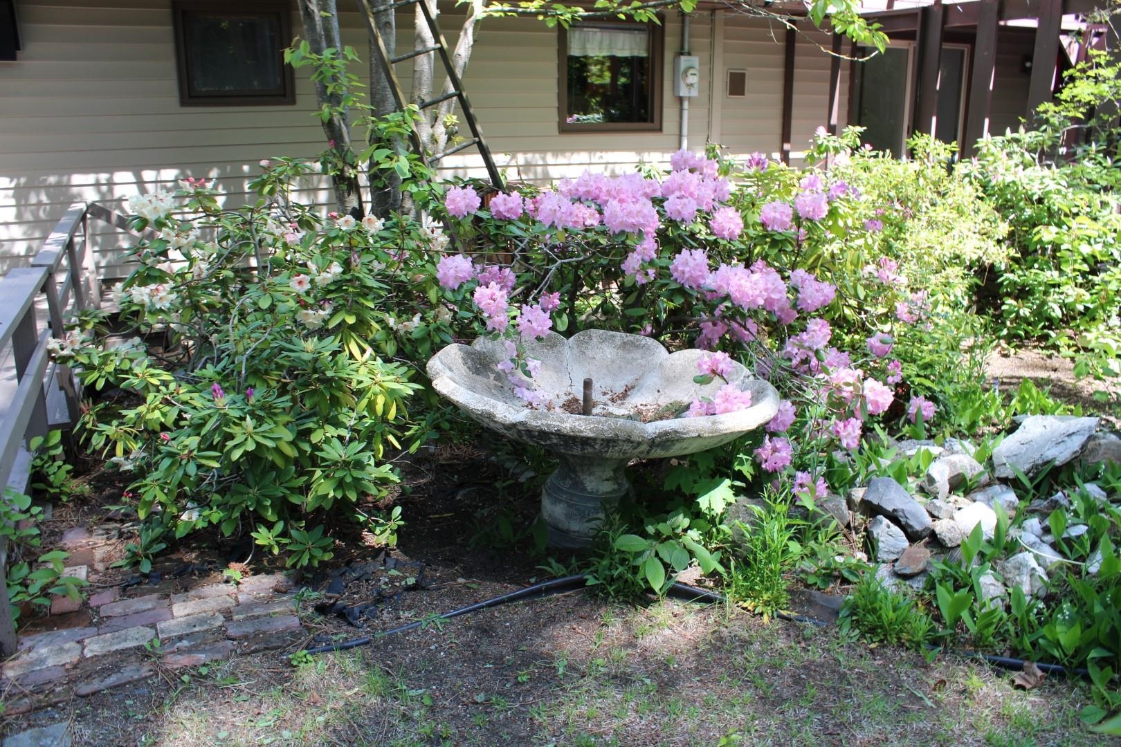 12518 East Houk Road Spokane, WA 99216 - Photo 40 of 50