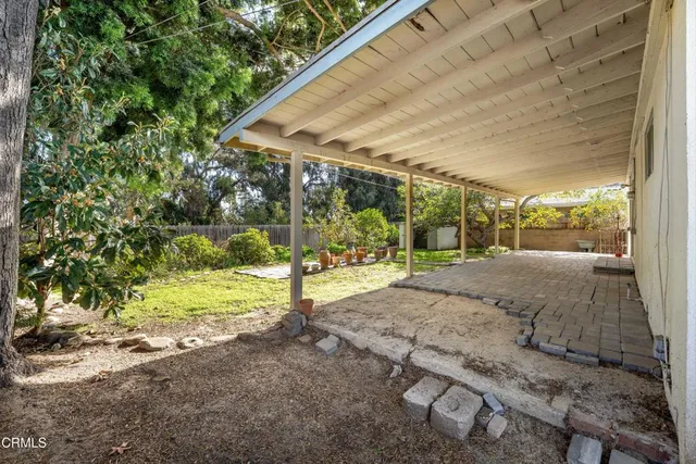 a view of a backyard with plants and tree