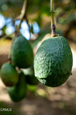 a view of a swimming pool