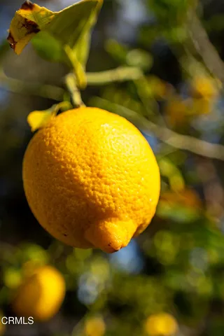 a view of a backyard of the house