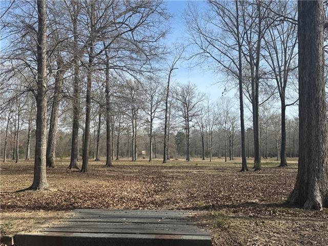 195 Varvarosky Road Deville, LA 71328 - Photo 11 of 21