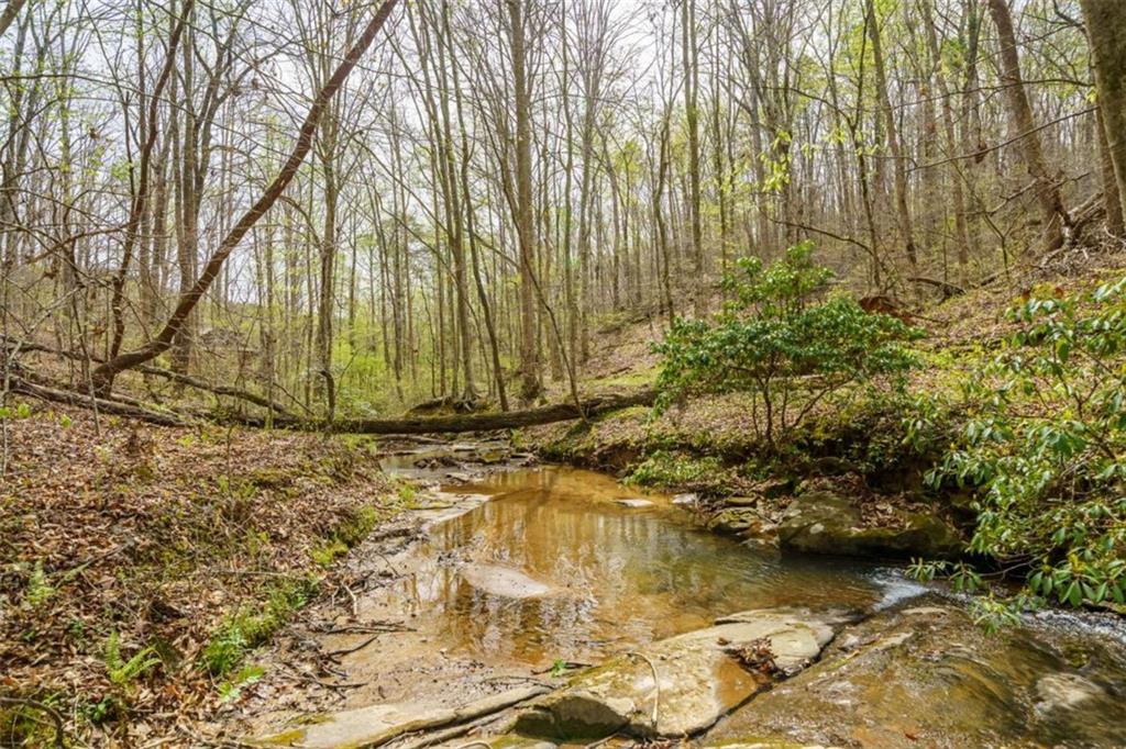 3467 Carver Mill Road Talking Rock, GA 30175 - Photo 23 of 23