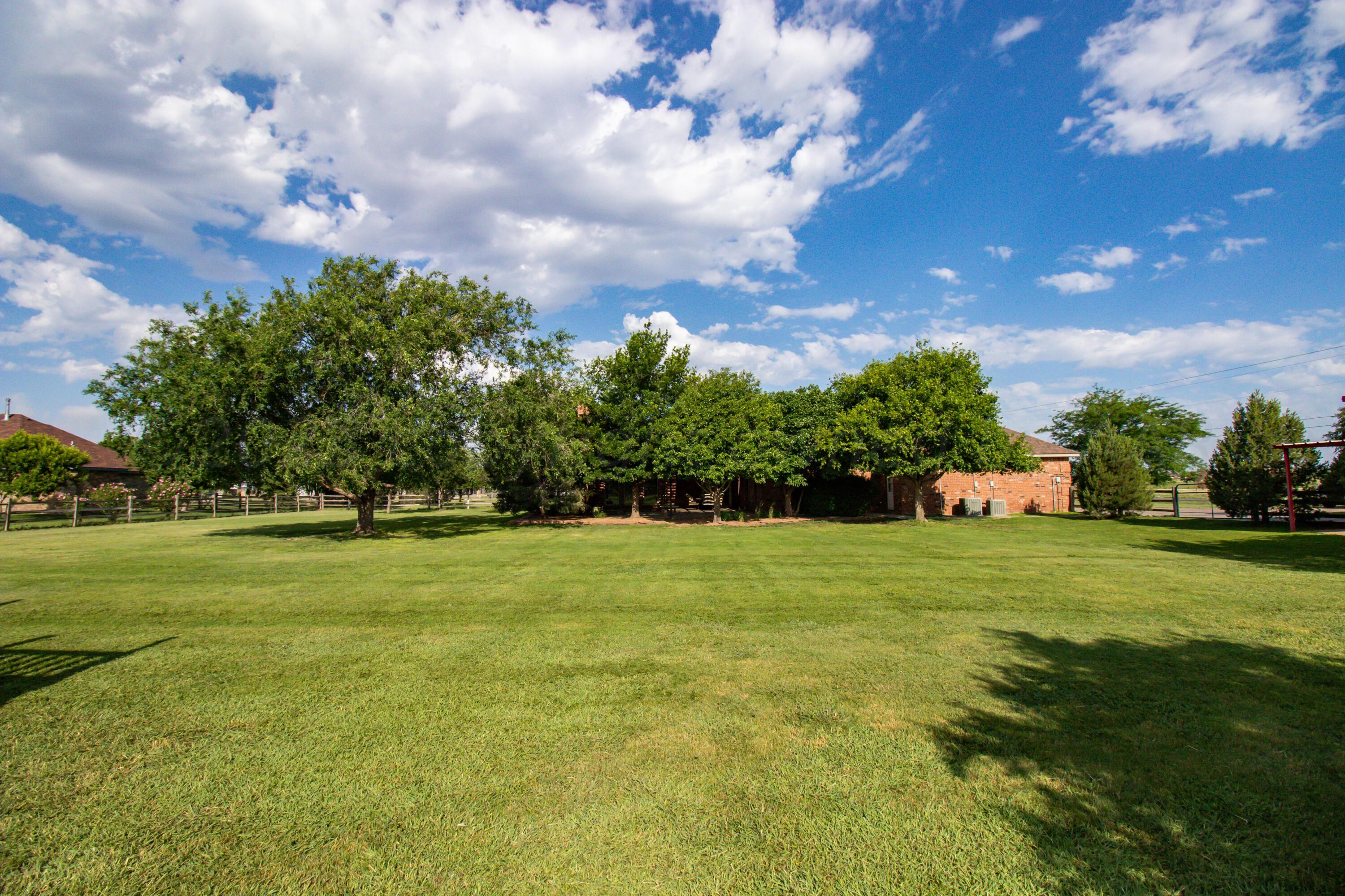 16301 Prairie Garden Road Canyon, TX 79015 - Photo 44 of 57 Backyard v3
