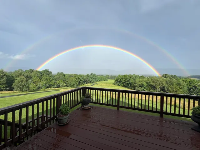 a view of a field of grass and trees