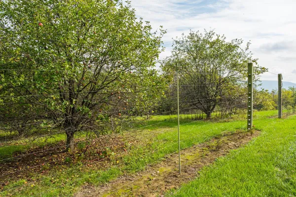 $2,950,000 | 945 Neese Lane, New Market, VA 22844