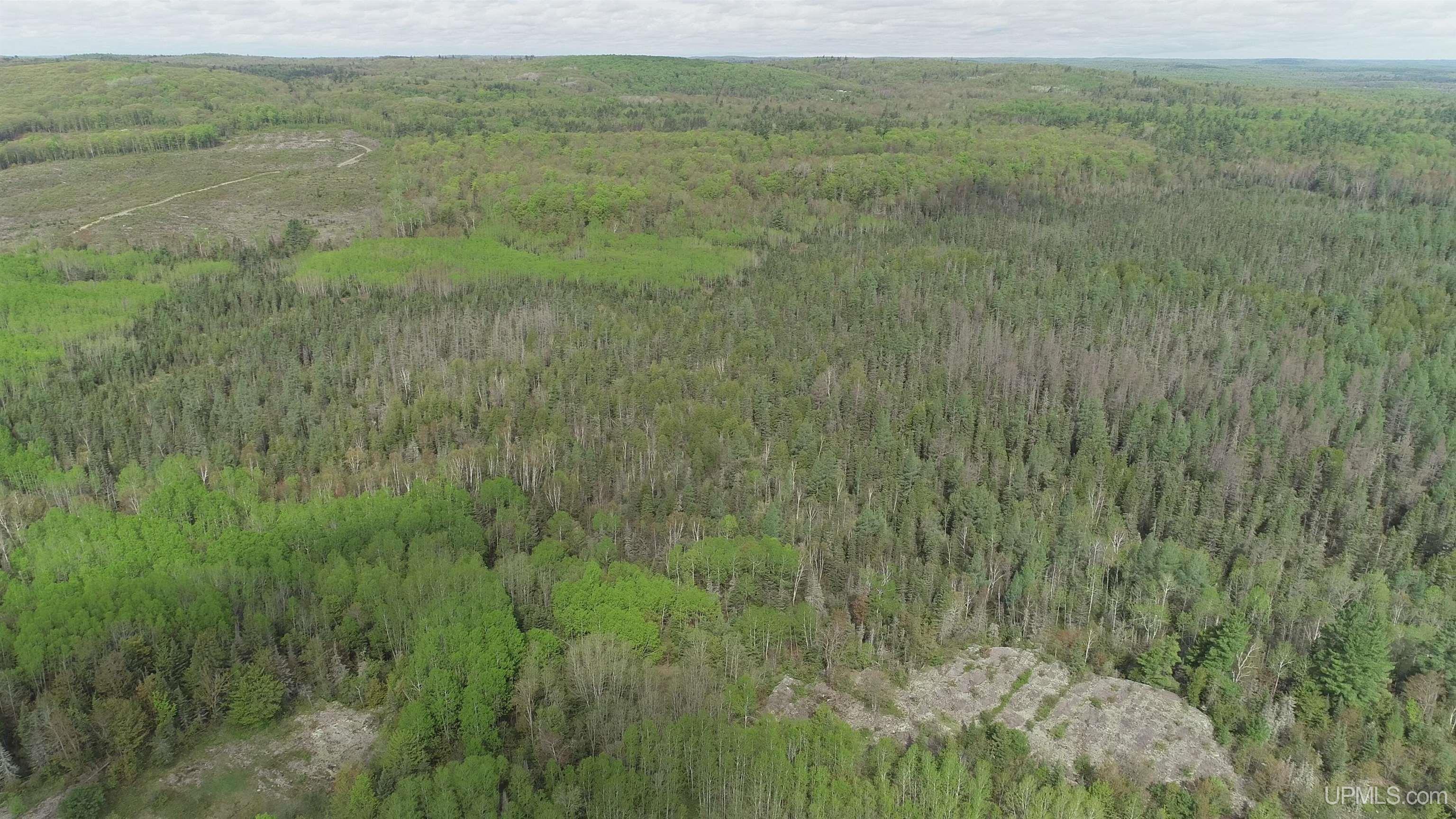 280-acres County Road CCN Road Negaunee, MI 49866 - Photo 29 of 48