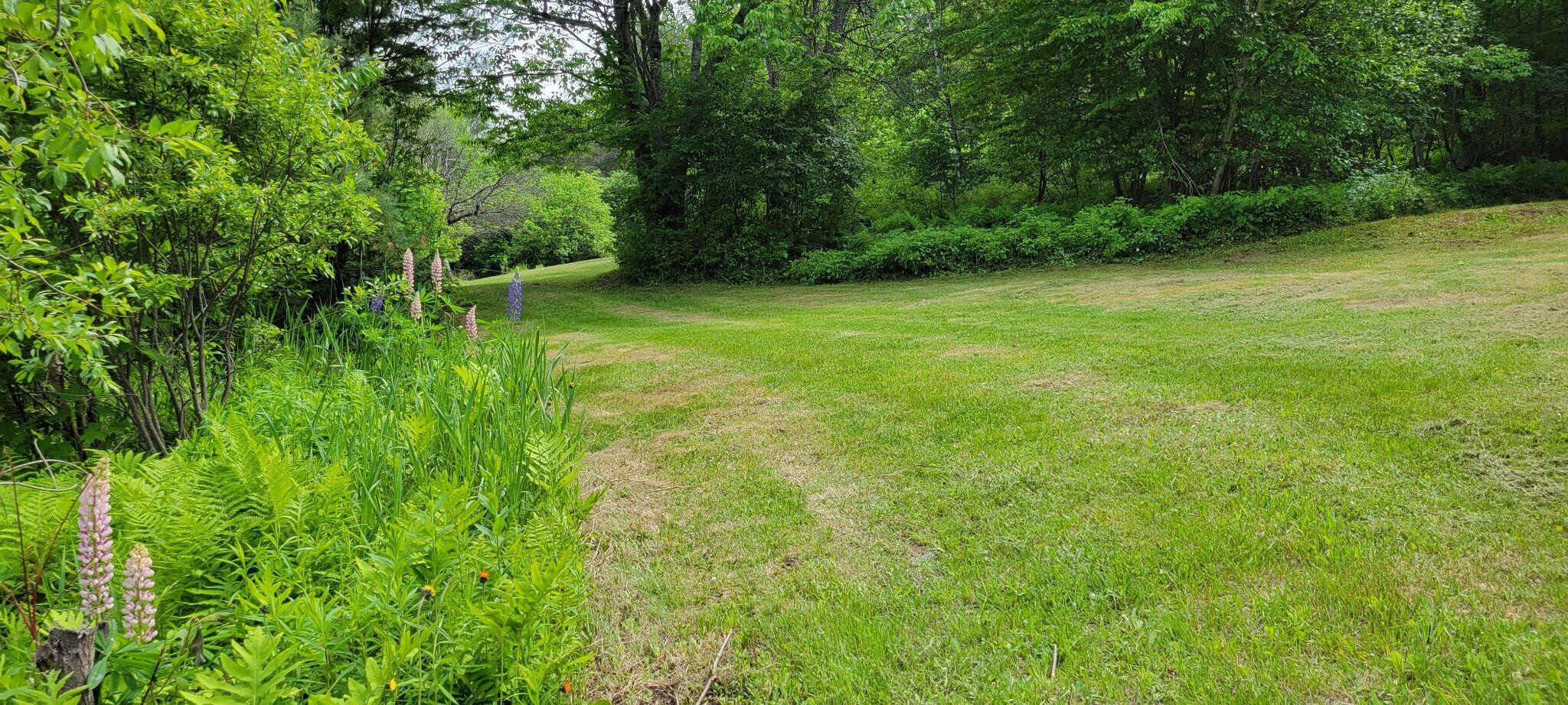 1820 Rangeley Road Phillips, ME 04966 - Photo 14 of 29 287173775_1360482611102581_1937596336908
