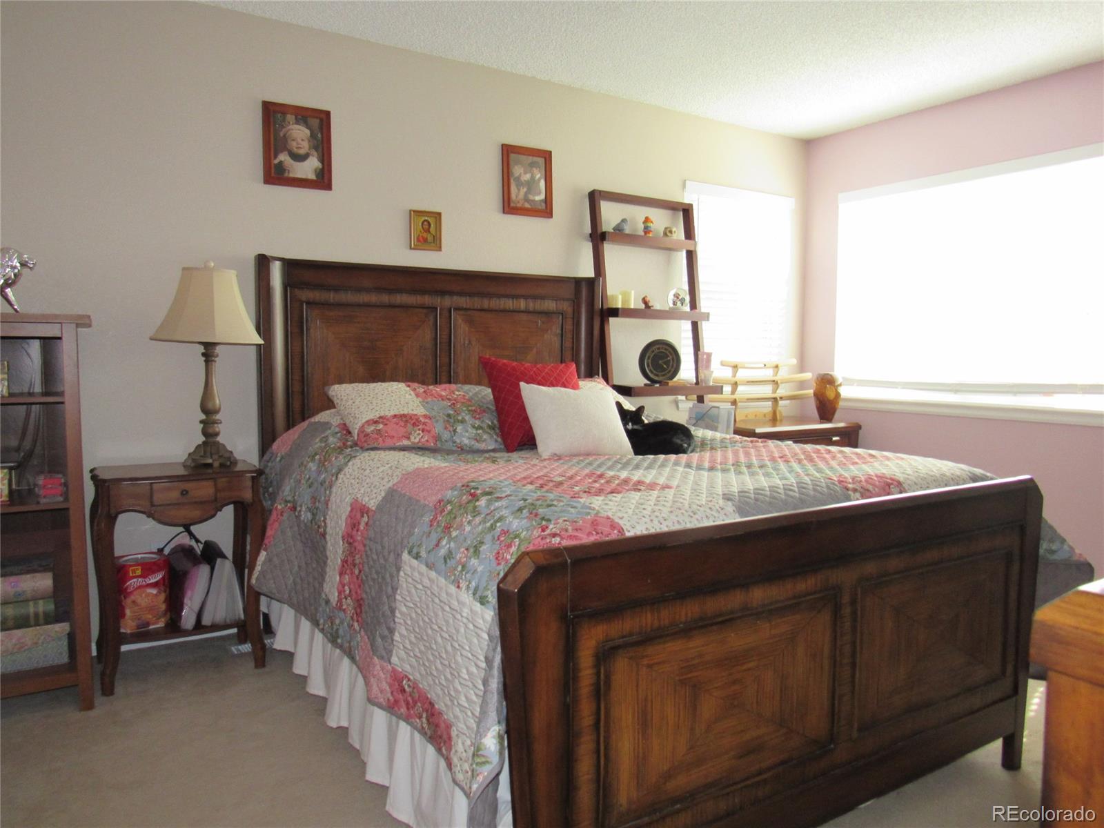 9147 Rimrock Court Highlands Ranch, CO 80126 - Photo 20 of 32 Gallery Image 20