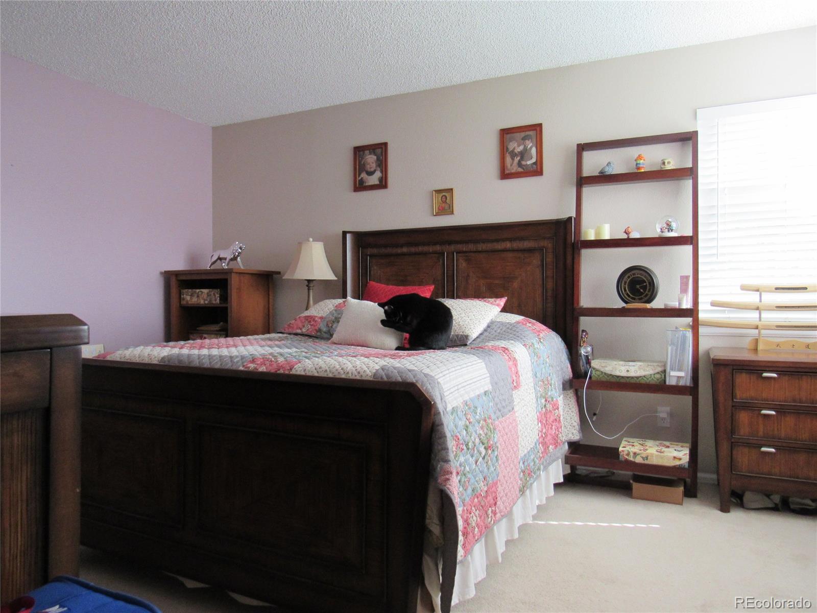 9147 Rimrock Court Highlands Ranch, CO 80126 - Photo 22 of 32 Gallery Image 22