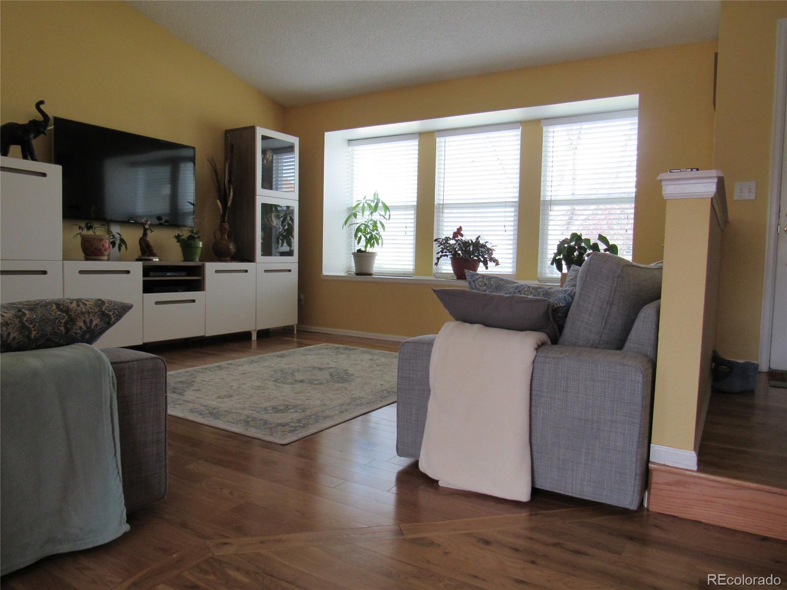 9147 Rimrock Court Highlands Ranch, CO 80126 - Photo 3 of 32 Gallery Image 3
