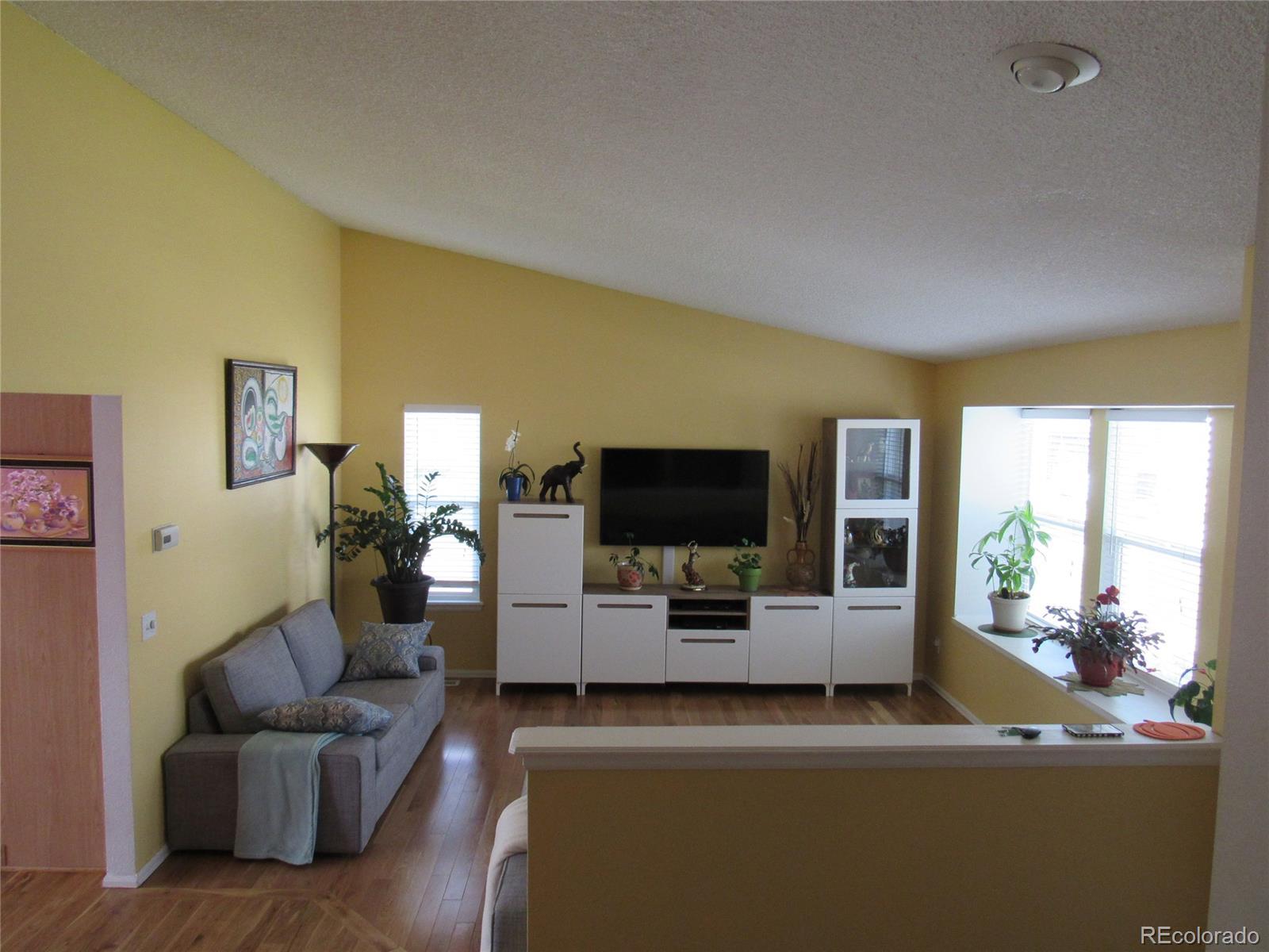 9147 Rimrock Court Highlands Ranch, CO 80126 - Photo 5 of 32 Gallery Image 5