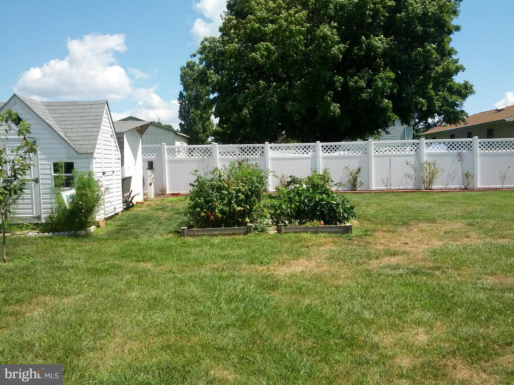 10 Tulip Drive Conowingo, MD 21918 - Photo 11 of 29 a view of a backyard