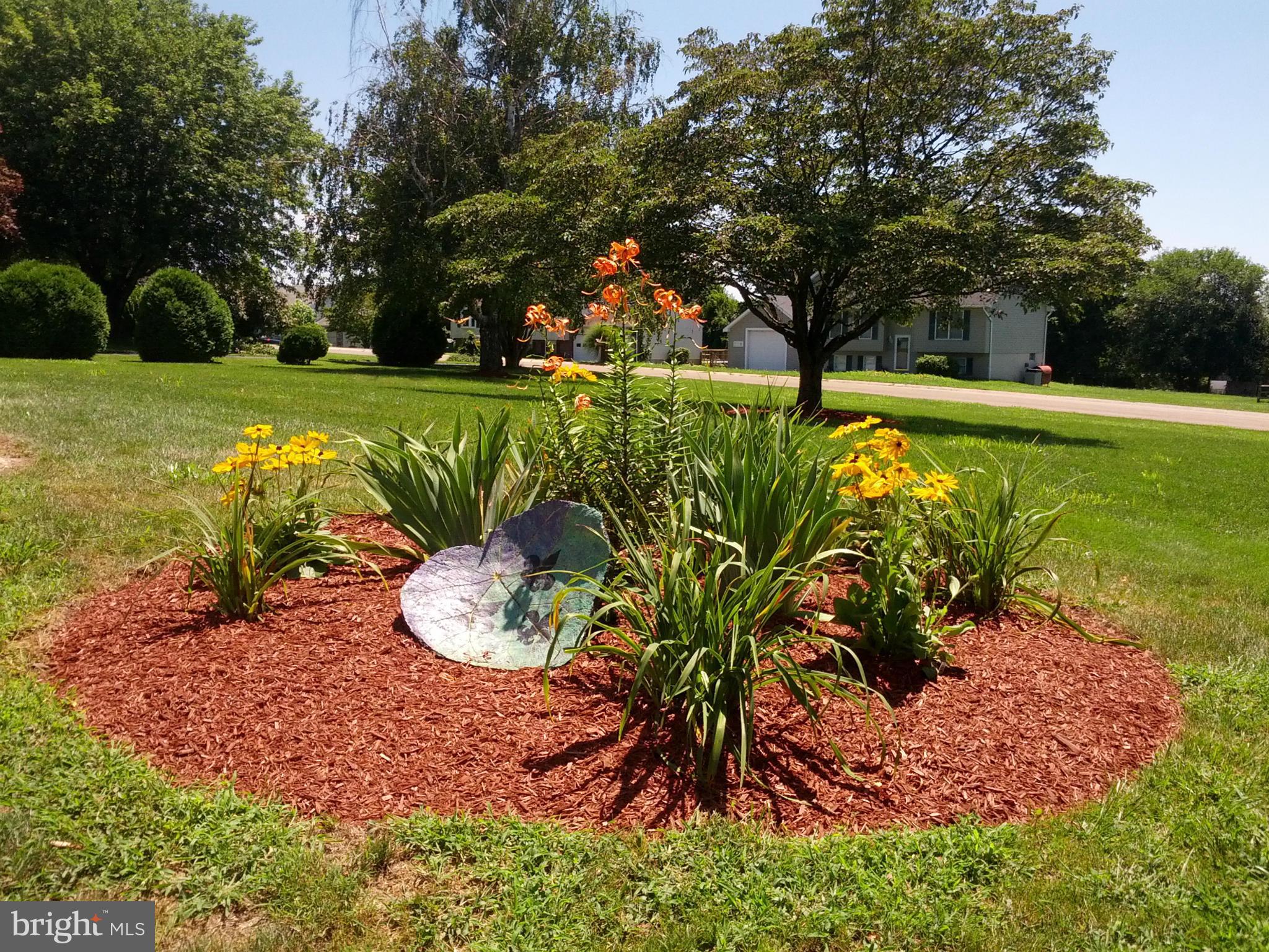 10 Tulip Drive Conowingo, MD 21918 - Photo 3 of 29 a view of a garden with plants and large trees