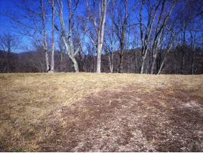 Lot 7 Deer Ridge Butler, TN 37640 - Photo 3 of 8 Photo 3