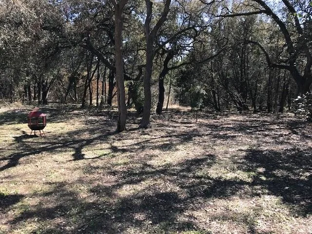 a view of fire pit with large trees