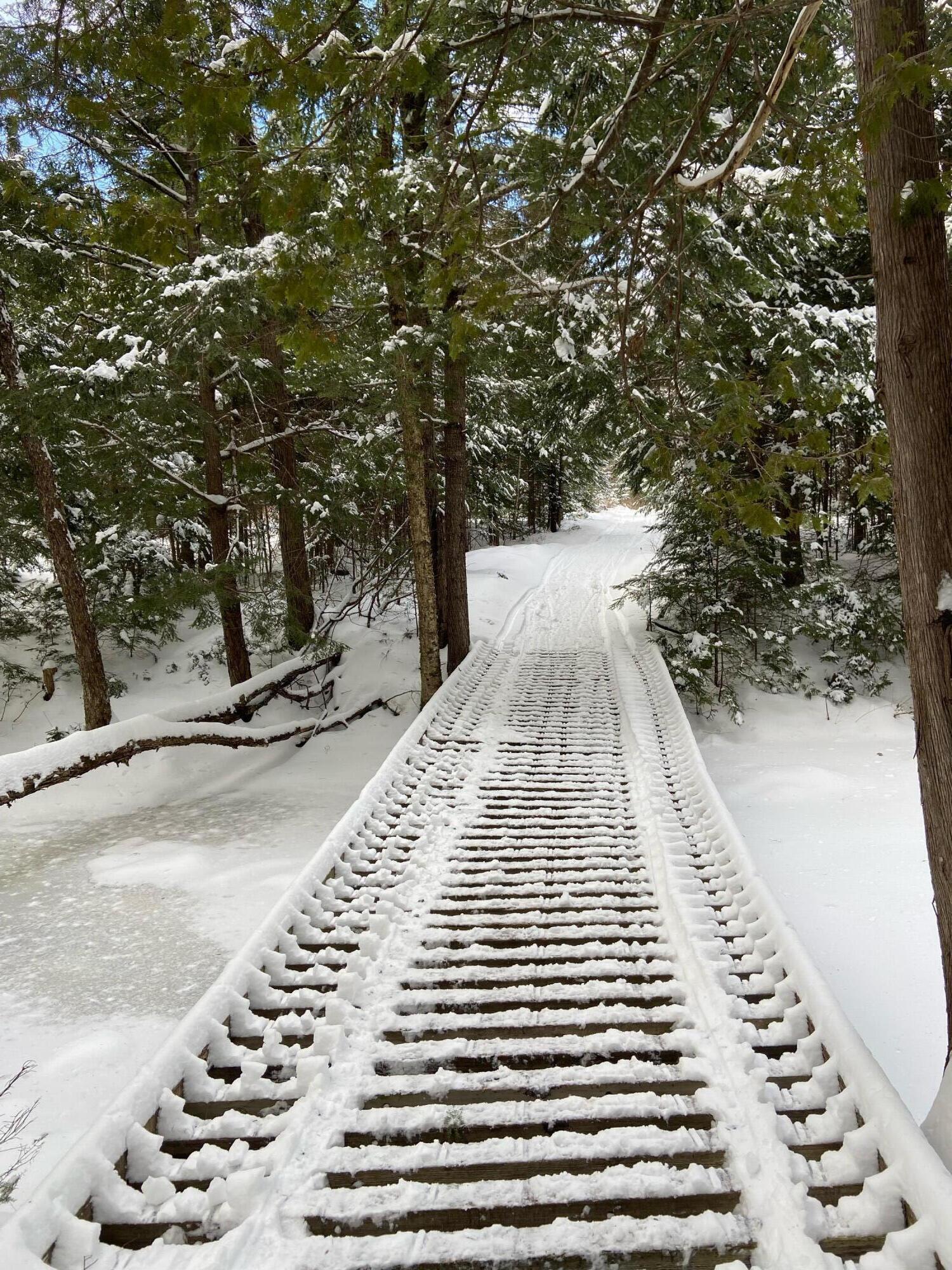 2060 Dexter Road Dover Foxcroft, ME 04426 - Photo 6 of 77 IMG_4092