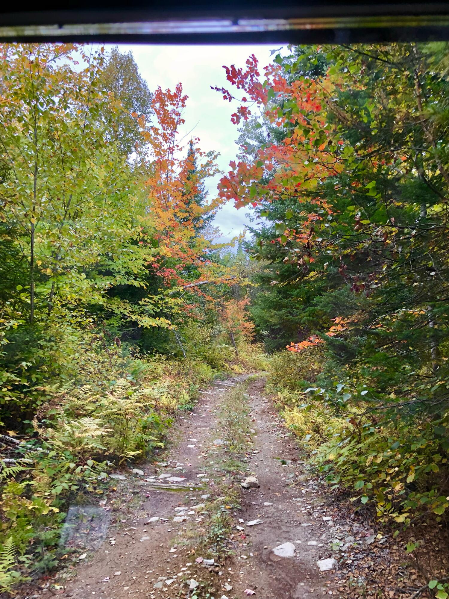 2060 Dexter Road Dover Foxcroft, ME 04426 - Photo 76 of 77 FullSizeRender (2)