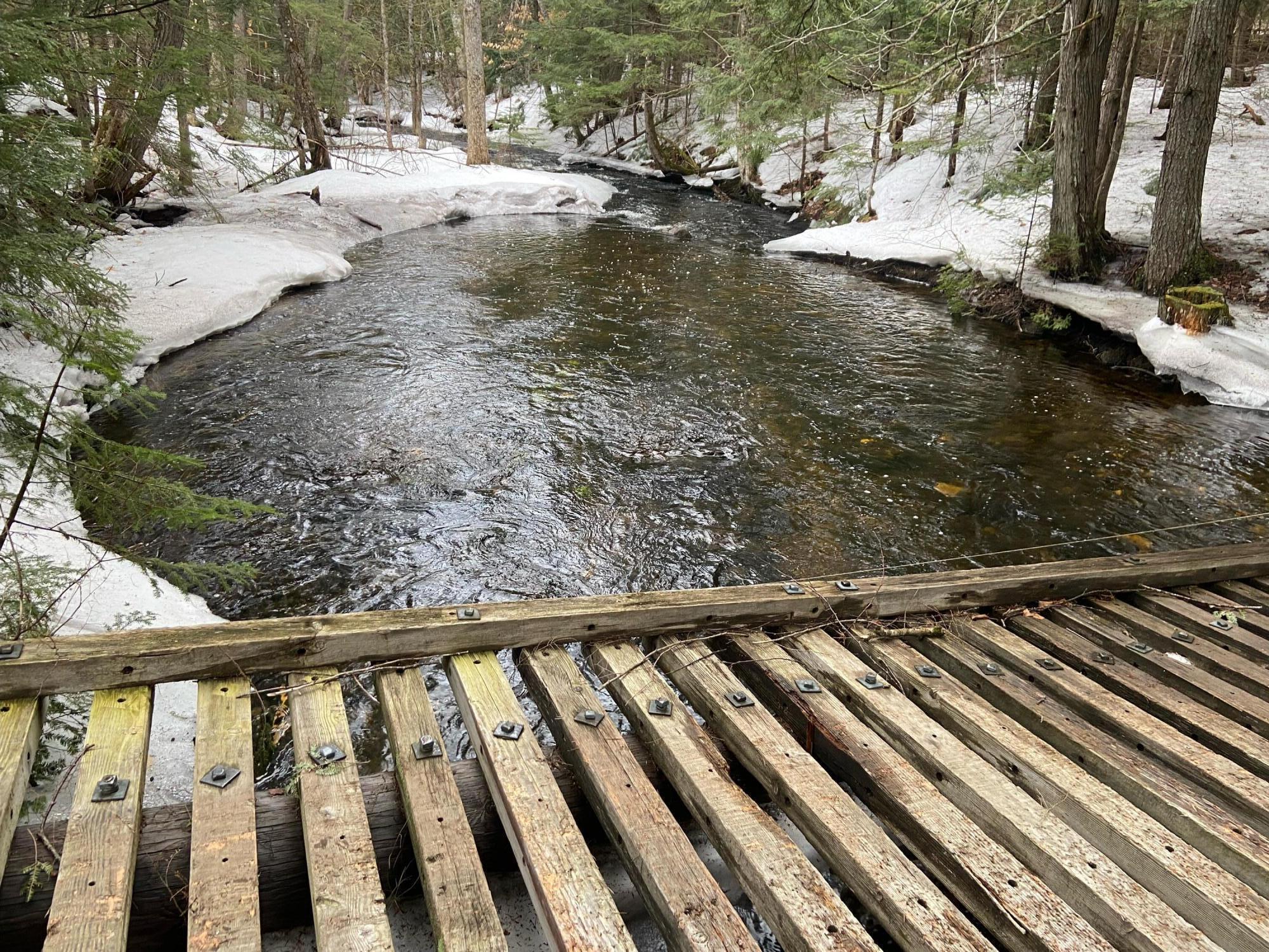 2060 Dexter Road Dover Foxcroft, ME 04426 - Photo 8 of 77 IMG_5334