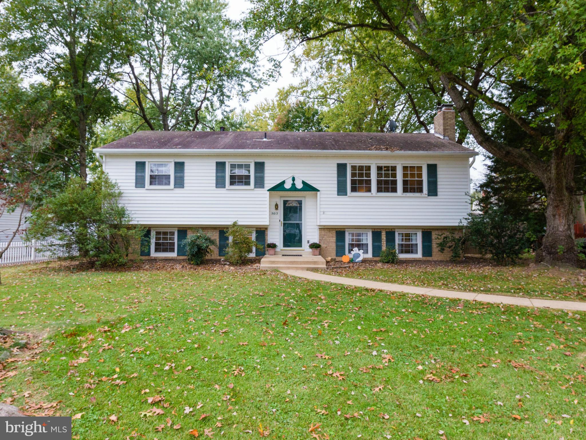 5613 Ashfield Road Alexandria, VA 22315 - Photo 1 of 30 Exterior (Front)